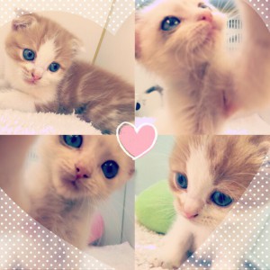 0908　⑤